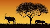 Gazelles Vs. Lions: How 94% Of Billion-Dollar Entrepreneurs Harmonize Speed & Dominance