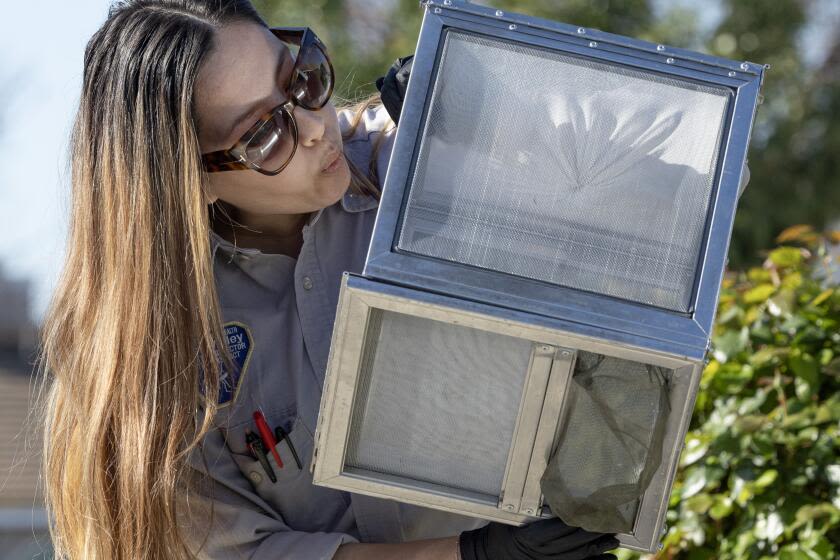 Mosquito season is upon us. So why are Southern California officials releasing more of them?