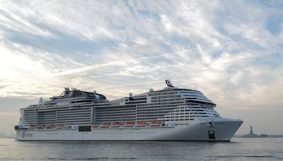 Cruise ship drags dead giant whale into New York, prompting investigation