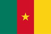 Flag of Cameroon