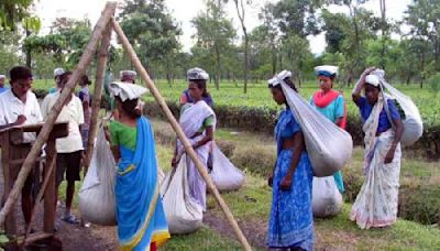 Calcutta High Court seeks Bengal government affidavit on wage of tea estate workers