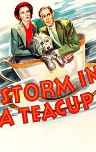 Storm in a Teacup