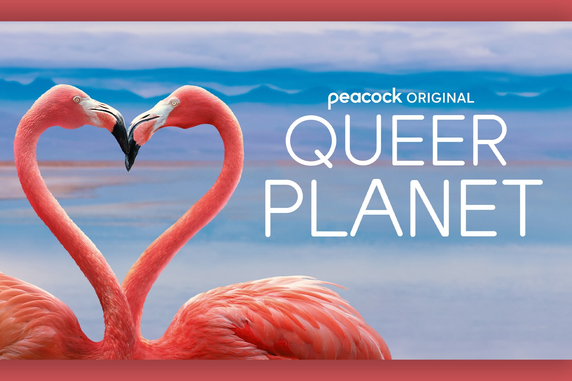 Queer Planet Trailer: New Peacock Series Will Explore Sexual Diversity in the Animal Kingdom