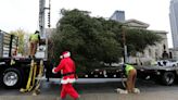 How Light Up Louisville's Christmas tree went from potential hazard to holiday centerpiece