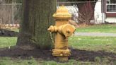 Elmira Water Board announces annual spring hydrant flushing schedule