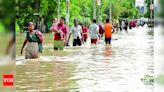 Repairs underway after Munak Canal breach causes flooding in several areas in Delhi | Delhi News - Times of India