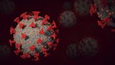Australia Faces Growing Threat From Highly Infectious FLuQE Covid Subvariant