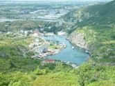 Quidi Vidi