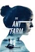 The Ant Farm