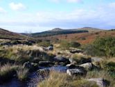 Dartmoor