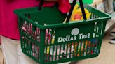 Dollar Tree: los mejores juguetes para perros y gatos que puedes encontrar en la tienda