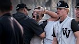 Los Lunas baseball eliminates Volcano Vista, and things got ugly