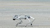 How killer robot dogs could become weapons of mass destruction