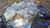 South African Police Uncover Multimillion-Dollar Meth Lab On Farm