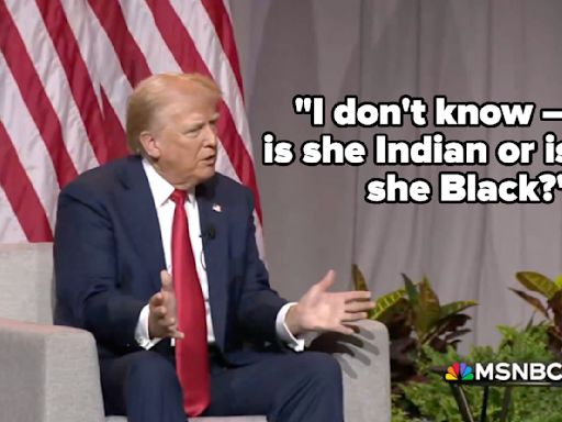 People Are Dragging Donald Trump For Not Seeming To Know Biracial People Exist After He Questioned Whether Kamala Harris...