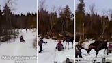 Dashcam footage reveals moment of instant karma after snowmobilers chase moose: ‘You were seeking trouble’