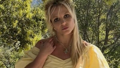 Familiares de Britney Spears preocupados por su reconciliación con su ex Paul Soliz