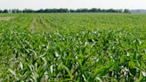 Should Ohio EPA allow human waste biosolids as a fertilizer alternative? Editorial Board Roundtable