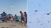 Moment beachgoers swarmed by dragonflies like the biblical plague 'apocalypse'