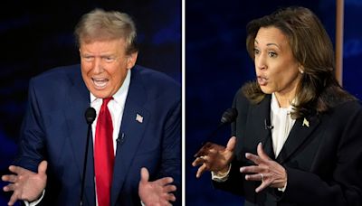 Harris vs Trump: How many swing states does US presidential candidate need to win heated battle?