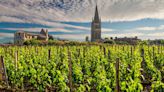 The most beautiful vineyards in the world are just a short hop away