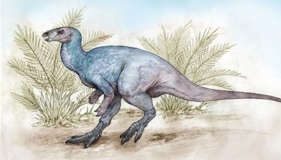 Chakisaurus nekul: hallaron en Río Negro a un dinosaurio que vivió hace 90 millones de años