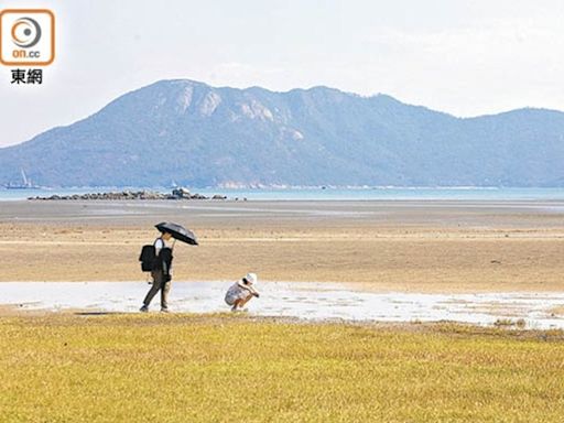 政府擬發展南大嶼生態康樂走廊 增親水設施登山吊車