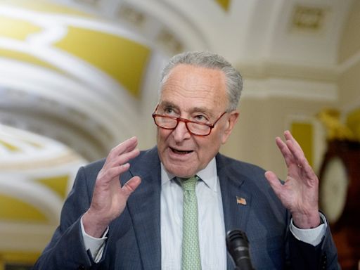 Schumer advierte que la Cámara causará un cierre del gobierno - La Opinión