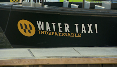 Water Taxi offers new routes around Inner Harbor, considers expansion