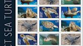 USPS Makes a Splash With New Sea Turtles Stamps