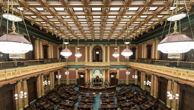 2024 primary election tees up battle for control of the Michigan House