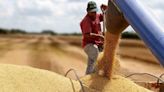 La Nación / Vuelven a reducir estimaciones de la cosecha de soja y maíz para esta campaña