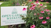 It's Open Garden Weekend in Johnson County. Here's a taste of what you can see.