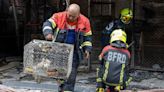 Incêndio em mercado de rua mata mais de mil animais na Tailândia; veja