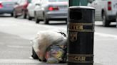 Dublin city centre 'in reverse' when it comes to litter