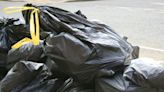 Redbridge bin collectors to strike again