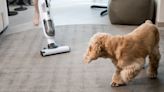 Owner's surprising hack to stop dog being afraid of vacuum and hair-dryer