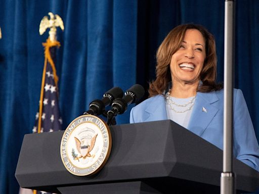 If not Joe Biden, then who? For US voters Kamala Harris is the top choice, experts warn she may battle scrutiny