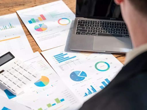 Midcap mavericks top mutual fund chart in first half of 2024 with 24% return