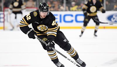 Bruins Prospect Could Be Boston’s Next Big Surprise