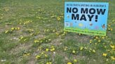 Does 'No Mow May' promote tick habitat? Experts say it may depend on your lawn