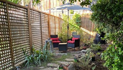 The City Gardener: Casting light on shade gardens