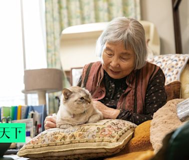 旅行、住院再也不用擔心貓狗！養老院成毛小孩天堂，老人失智風險降40%｜銀天下