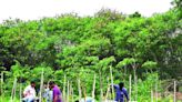 BSF Karahalli campus tree plantation drive