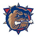 Hamilton Bulldogs (AHL)