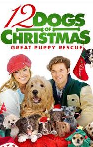 12 Dogs of Christmas: Great Puppy Rescue