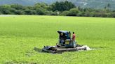 Water lettuce spread in 40-acre tank removed in Theni district, thanks to private-public partnership