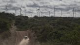 Bode, sanfona e energia renovável: como é a cidade que sedia o maior parque eólico da América Latina
