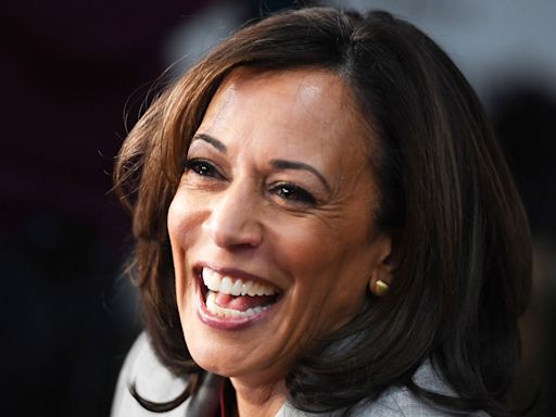 The Best Kamala Is Brat Memes and Fan Cams, in Case You Still Don't Get It