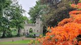 'Beautiful' castle grounds to host picnic and outdoor theatre this summer